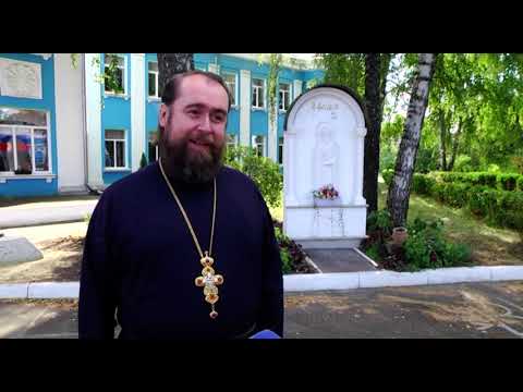 Незаконно и грешно: курянам напомнили, что кладбища для домашних питомцев запрещены