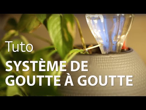 , title : 'Réaliser un SYSTÈME DE GOUTTE À GOUTTE pour ses PLANTES D'INTERIEUR ET D'EXTERIEUR ! [DIY]'