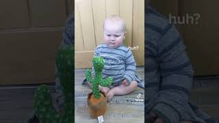 Baby Scared - Speaking Cactus Toy - Funny Video