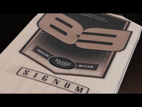B3 Signum Grade 2 Cricket Bat Review