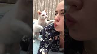 Download lagu Orang di cakar kucing mp3 Download lagu Orang di cakar kucing mp3