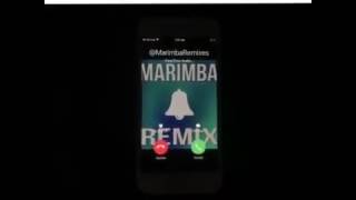 I Spy Marimba Remix!!