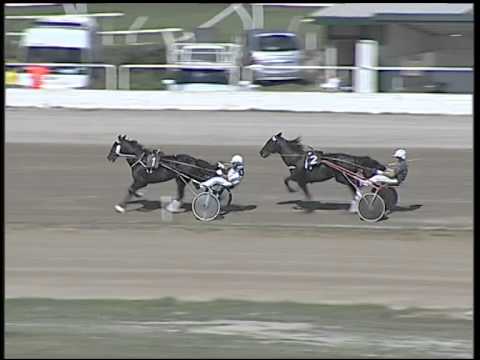 Trotto 19/10/2014 - 2° prova di riqualifica