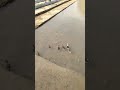 Random Uploader
