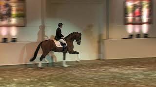 Video od Fynch Hatton