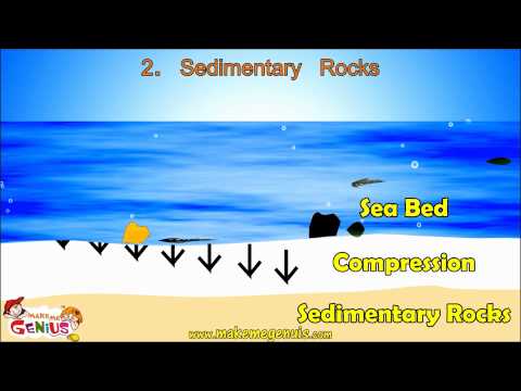 3 Rocks Types Igneous rocks,Sedimentary rocks,Metamorphic rocks for kids