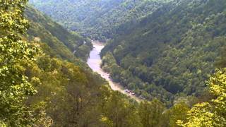 Carold Nunez - Reflexions