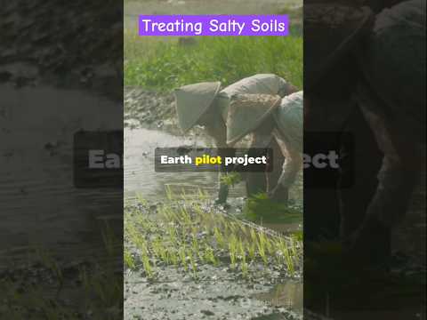 Salt of the Earth: Sri Lankan Farm Revival || Farm Modernization #sustainablesolutions #facts
