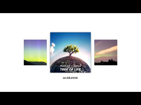 Marian Closca - Gravity