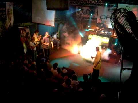 dada the hip hop no.8 -zverina vec