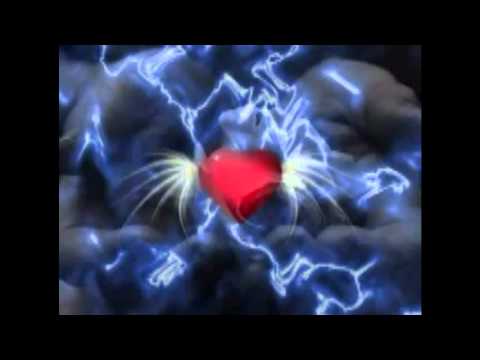 UNTER DEINER FLAGGE mit text