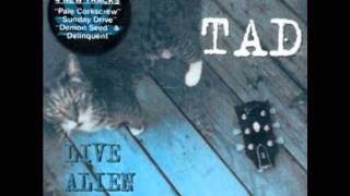 TAD (Delinquent) live