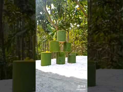 funny #best hashtags to use#10 best hashtags#minivlog #shorts#shorts#amandancerreal