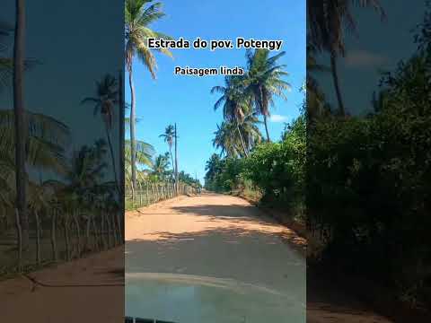 Piaçabuçu AL (parte2)