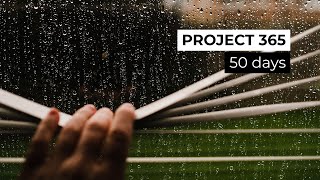 project 365 - the first 50 days // photo slideshow