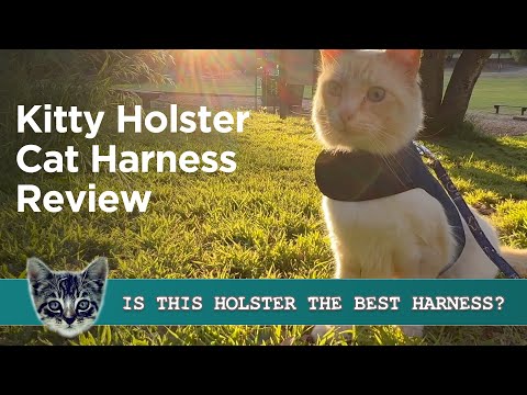Kitty Holster Cat Harness - The Smartest Harness for Your Cat?