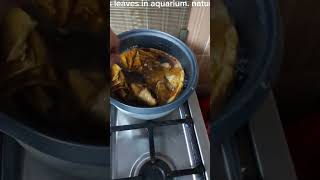 Download lagu Cara membuat ekstrak talisay (Cara membuat ekstrak catappa) #talisay #DaunTalisay #ikanbetta #viral mp3