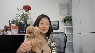 【生着替え！日本保守党百田氏は捕まるのか？！】震度６強なのにヨイショリポスト！