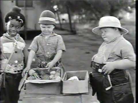 Little Rascals / Our Gang - Volume 17 Cabin Fever Box Set