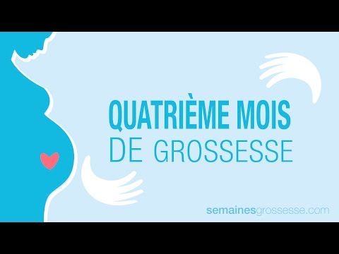Quatrième mois de grossesse - Mois 4 de grossesse - La grossesse mois par mois