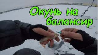 Где и на что ловить в щелково