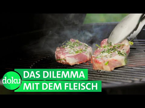 Fleischland: Warum fällt es uns so schwer zu verzichten? | WDR Doku