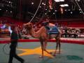 Gabi S Day At The Circus