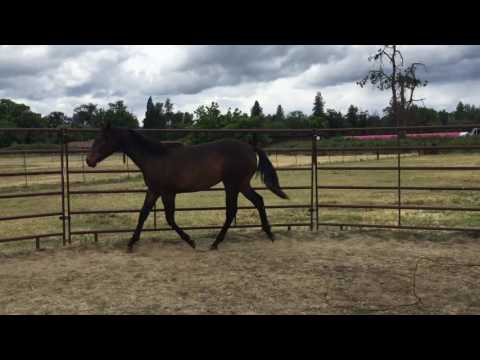 AlGirlsSayHubbaHubba