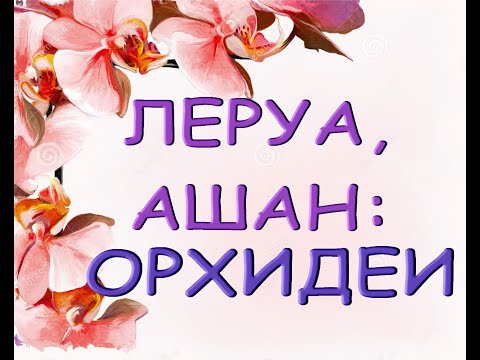 ЛЕРУА,Ашан:ЗАВОЗ прекрасных ОРХИДЕЙ,13.08.21,ТЦ "Космопорт",Самара,ул.Дыбенко,30.