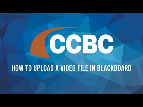 How to Upload a Video to Blackboard
