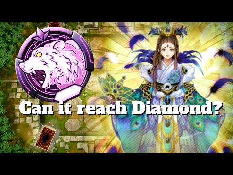 Shinobird in Master Duel | How far can it go?