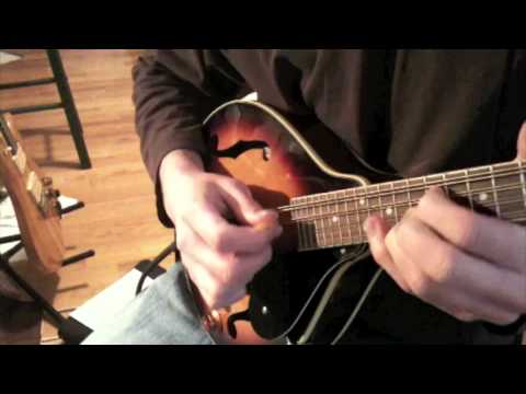 Oscar Schmidt OM10EWH Select Spruce Top Mahogany Neck A-Style