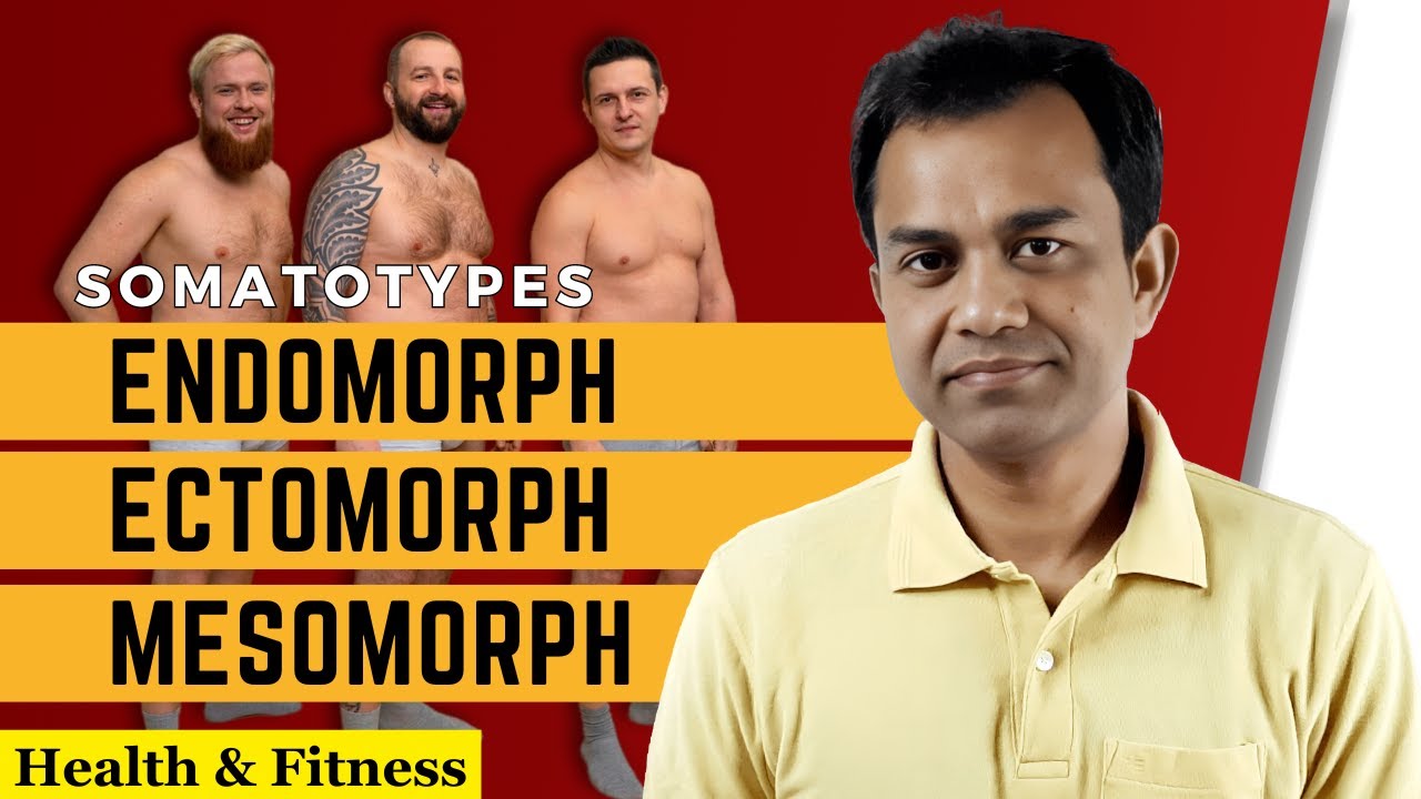 Somatotypes: Endomorph, Ectomorph, and Mesomorph