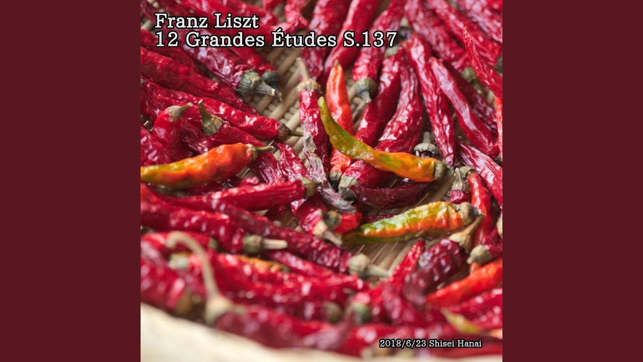 Liszt Etudes in A-Flat Major, S. 137: 9. Andantino