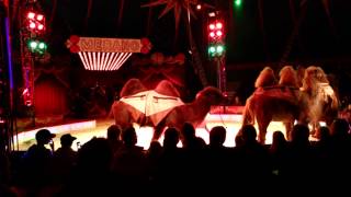 preview picture of video 'Circus Merano opening Andenes 2013'