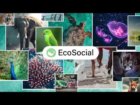 EcoSocial - environmental hub