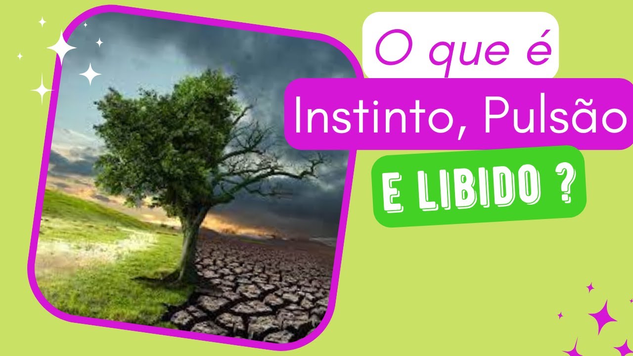 O que é Instinto, Pulsão e Libido