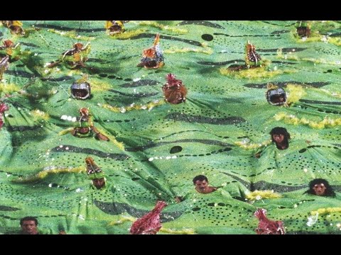 Imperatriz Leopoldinense 1992 - DESFILE COMPLETO