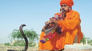 Snake and Snake Charmers