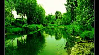 Summer Fly - Cheryl Wheeler