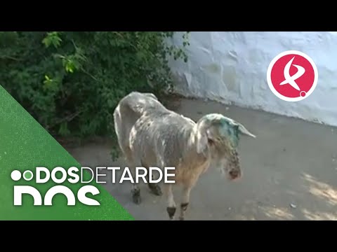 Unan nueva oportunidad para Mari Carmen | Dos de Tarde