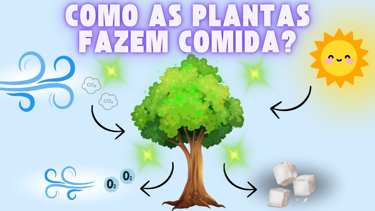 Descubra o Segredo das Plantas! | Vídeo Educativo para Crianças