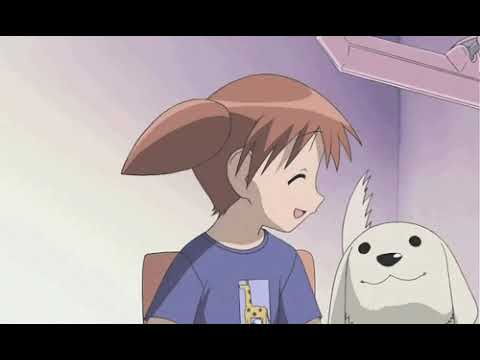 Nightcore - Petco (Joeyy)