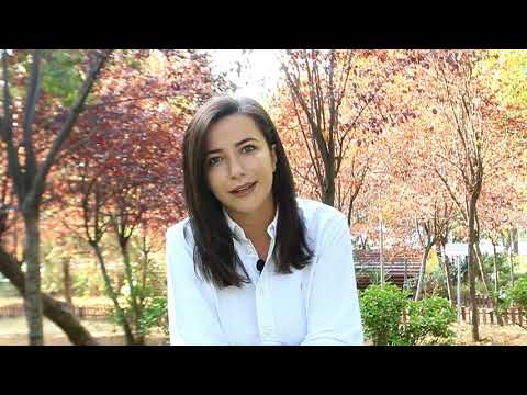 Çfarë ndodh me trupin tonë kur na mungojnë fjalët për të shprehur emocionet? - Dr. Greta Hysi