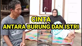 Download lagu Amaq Saen BETWEEN BIRD & WIFE mp3