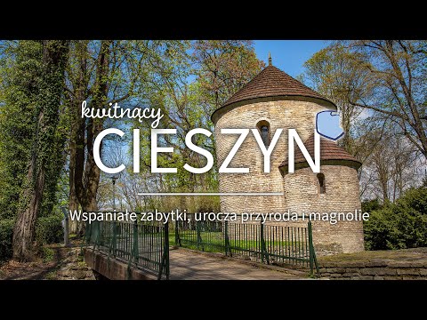 Cieszyn - miasto magnolii i wiekowych zabytków. Zobacz jego atrakcje