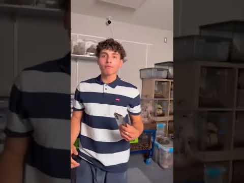 ROACH PRANK GONE WRONG 🤪