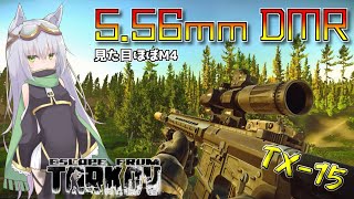 【EFT】見た目はほぼM4!! TX-15 【ゆっくり実況】