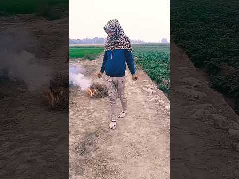 #hashtags #instagram #hashtag #like #follow #love #instagood #l