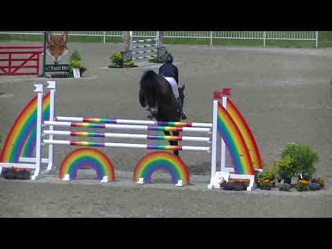 Lynn Symansky & Under Suspection CCI 3 star SJ